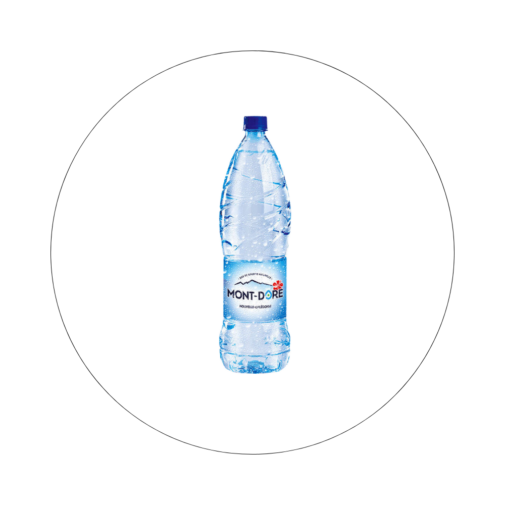 EAU DU MONT DORE - Eau