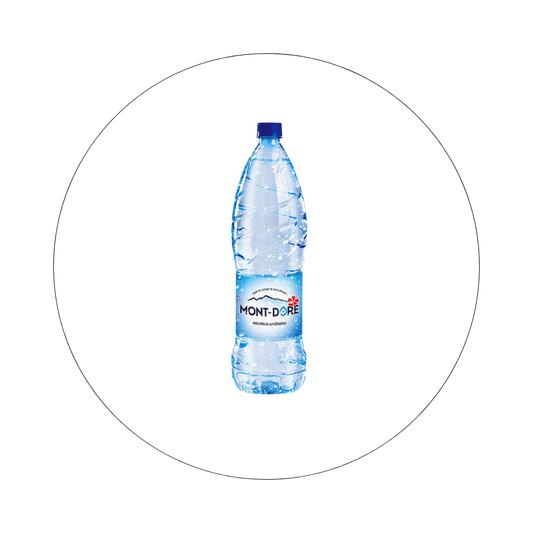 EAU DU MONT DORE - Eau