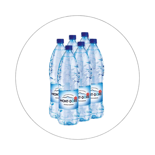 EAU DU MONT DORE - Eau
